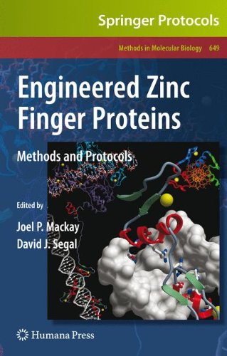Engineered Zinc Finger Proteins Methods And Protocols 1st Edition Mital S Bhakta