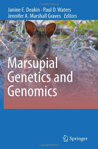 Marsupial Genetics And Genomics 1st Edition Emily J Miller Catherine A Herbert Auth