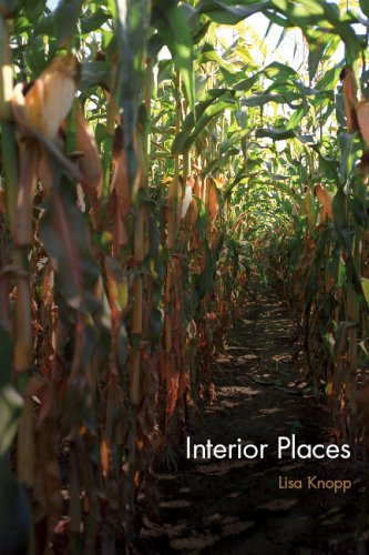 Interior Places Lisa Knopp
