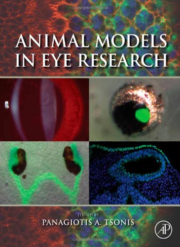 Animal Models In Eye Research 1st Edition Panagiotis Antonios Tsonis
