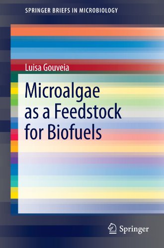 Microalgae As A Feedstock For Biofuels 1st Edition Luisa Gouveia Auth