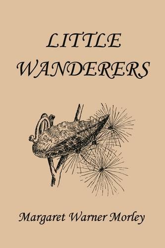 Little Wanderers Illustrated Edition Ill Margaret W Morley