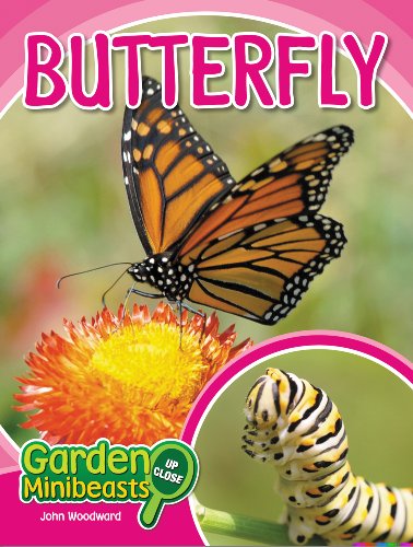 Butterfly Garden Minibeasts Up Close 1st Edition John Woodward