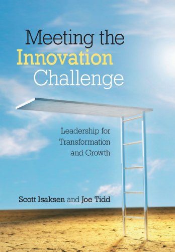 Meeting The Innovation Challenge Leadership For Transformation And Growth 1st Edition Scott Isaksen