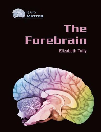 The Forebrain Gray Matter Elizabeth Tully