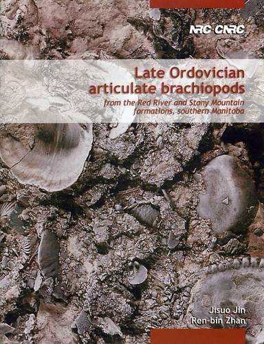 Late Ordovician Articulate Brachiopods From The Red River And Stony Mountain Formations Southern Manitoba Jisuo Jin