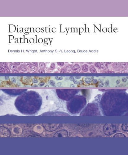 Diagnostic Lymph Node Pathology Hodder Arnold Publication 1st Edition Dennis H Wright