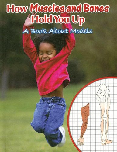 How Muscles And Bones Hold You Up A Book About Models Big Ideas For Young Scientists Marcia S Freeman
