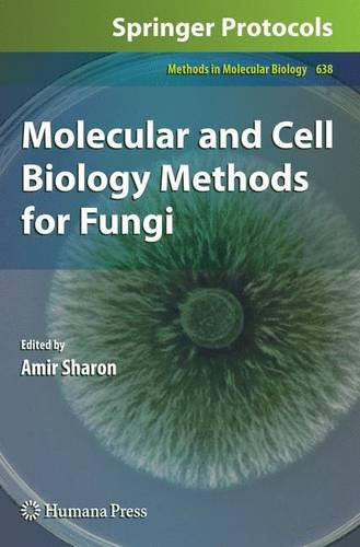 Molecular And Cell Biology Methods For Fungi 1st Edition B Gillian Turgeon