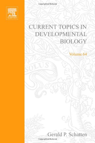 Current Topics In Developmental Biology 64 1st Edition Gerald P Schatten