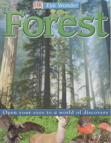 Forest Eye Wonder Deborah Lock And Lorrie Mack