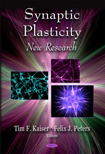 Synaptic Plasticity New Research Tim F Kaiser Felix J Peters