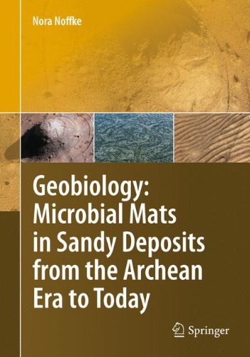 Geobiology Microbial Mats In Sandy Deposits From The Archean Era To Today 1st Edition Nora Noffke Auth