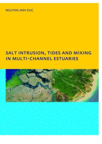 Salt Intrusion Tides And Mixing In Multichannel Estuaries Phd Unescoihe Institute Delft 1st Edition Anh Duc Nguyen