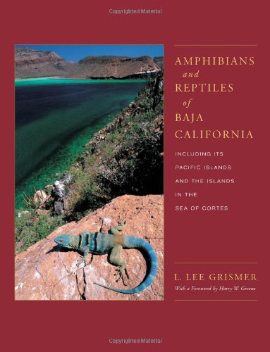 Amphibians And Reptiles Of Baja California Including Its Pacific Islands And The Islands In The Sea Of Cortes Organisms And Environments 1st Edition L Lee Grismer