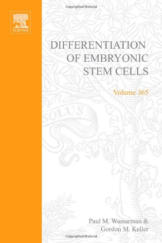 Differentiation Of Embryonic Stem Cells 1st Edition Author Unknown