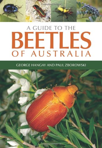 A Guide To The Beetles Of Australia George Hangay Paul Zborowski