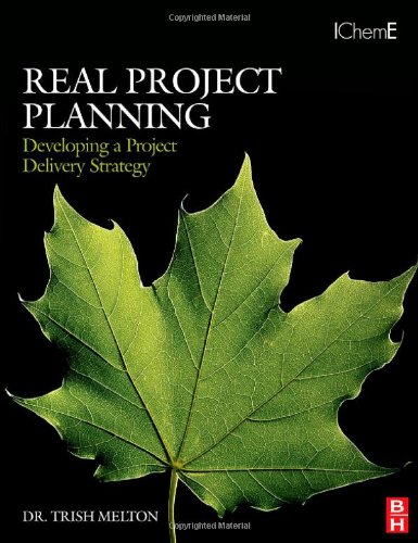Real Project Planning Developing A Project Delivery Strategy 1st Edition Melton