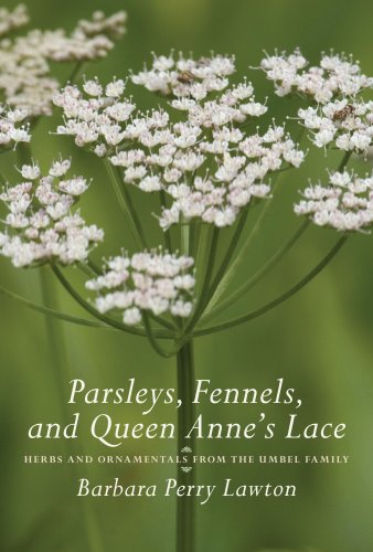 Parsleys Fennels And Queen Annes Lace First Edition Barbara Perry Lawton