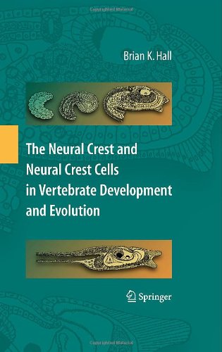 The Neural Crest And Neural Crest Cells In Vertebrate Development And Evolution 2nd Edition Brian K Hall Auth