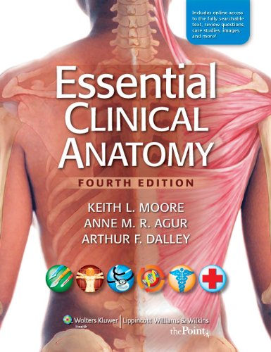 Essential Clinical Anatomy 4th Edition Fourth North American Edition Keith L Moore