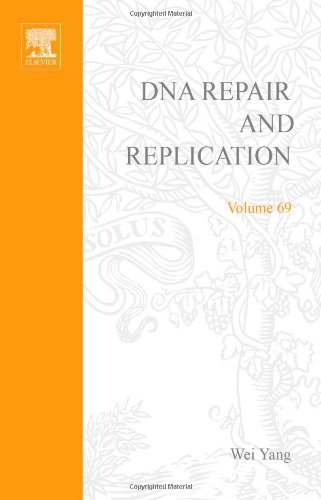 Dna Repair And Replication 1st Edition Wei Yang Eds
