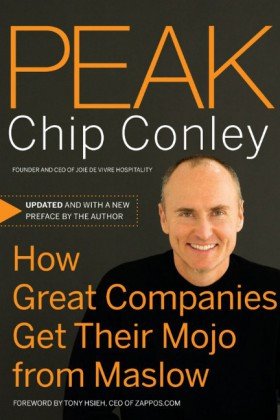Peak How Great Companies Get Their Mojo From Maslow Jb Us Nonfranchise Leadership 1st Edition Chip Conley