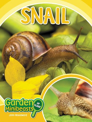 Snail Garden Minibeasts Up Close 1st Edition John Woodward