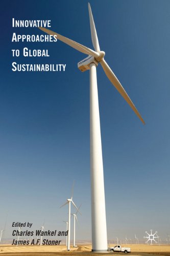 Innovative Approaches To Global Sustainability Charles Wankel