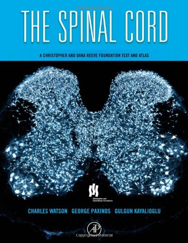 The Spinal Cord A Christopher And Dana Reeve Foundation Text And Atlas Harpap Charles Watson