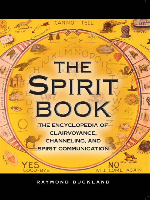 The Spirit Book The Encyclopedia Of Clairvoyance Channeling And Spirit Communication Raymond Buckland