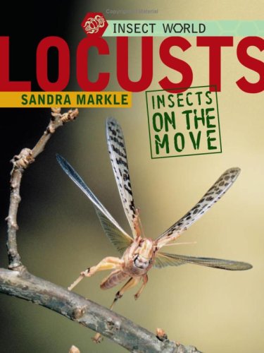 Locusts Insects On The Move Insect World Sandra Markle
