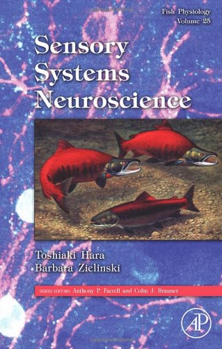 Sensory Systems Neuroscience 1st Edition Toshiaki J Hara And Barbara S Zielinski Eds
