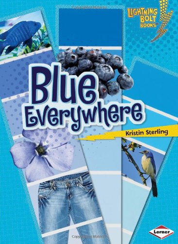 Blue Everywhere Lightning Bolt Books Colors Everywhere Kristin Sterling