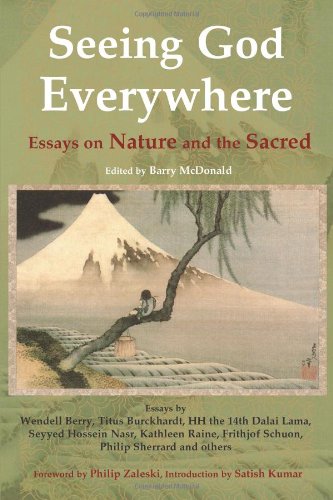 Seeing God Everywhere Essays On Nature And The Sacred Perennial Philosophy 336th Barry Mcdonald