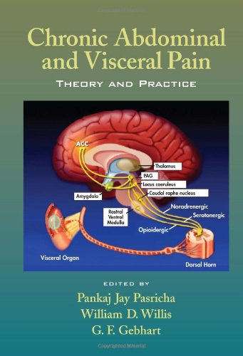 Chronic Abdominal And Visceral Pain Theory And Practice 1st Edition Pankaj Jay Pasricha