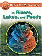 In Rivers Lakes And Ponds Under The Microscope 1st Edition Sabrina Crewe