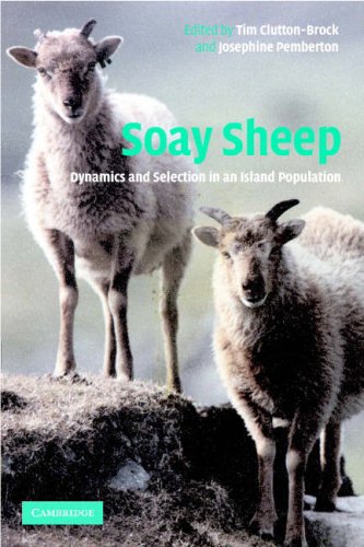 Soay Sheep Dynamics And Selection In An Island Population T H Cluttonbrock