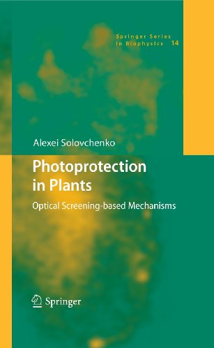 Photoprotection In Plants Optical Screeningbased Mechanisms 1st Edition Alexei Solovchenko Auth