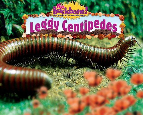 Leggy Centipedes No Backbone The World Of Invertebrates Natalie Lunis