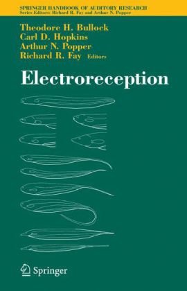 Electroreception Springer Handbook Of Auditory Research 1st Edition Theodore H Bullock