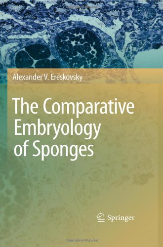 The Comparative Embryology Of Sponges 1st Edition Alexander V Ereskovsky Auth