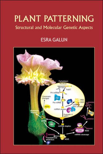 Plant Patterning Structural And Molecular Genetic Aspects 1st Edition Esra Galun