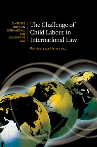 The Challenge Of Child Labour In International Law 1st Edition Franziska Humbert