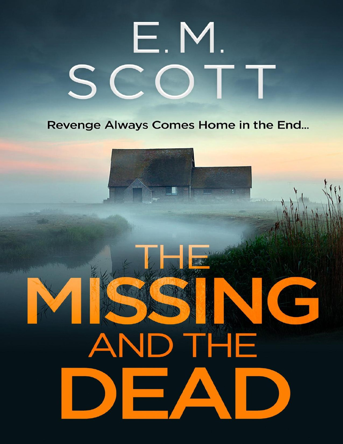 The Missing And The Dead Em Scott