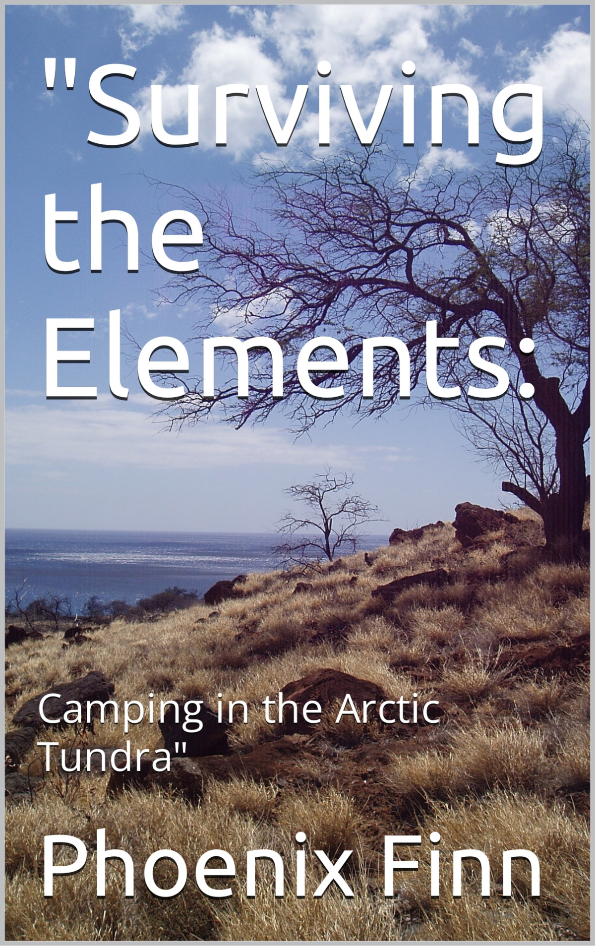 Surviving The Elements Camping In The Arctic Tundra Finn