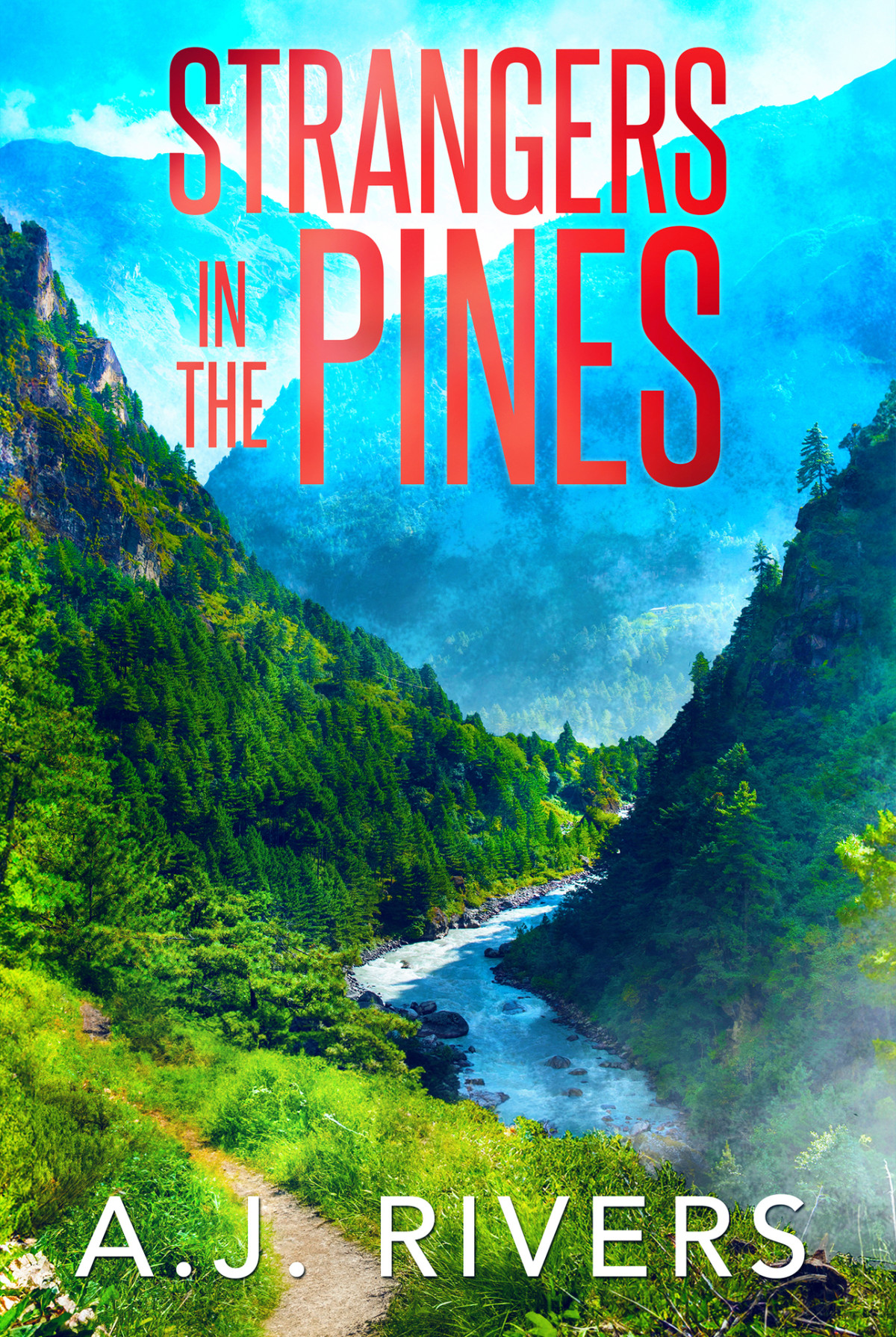 Strangers In The Pines A Detective Riley Quinn Pine Brooke Mystery Book 3 Aj Rivers