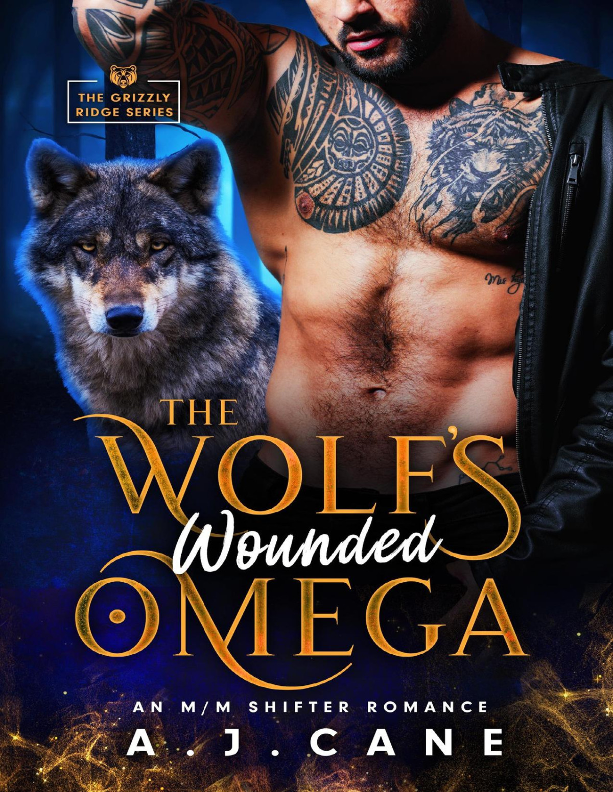 The Wolfs Wounded Omega An Mm Shifter Romance Grizzly Ridge Book 2 1st Edition Aj Cane