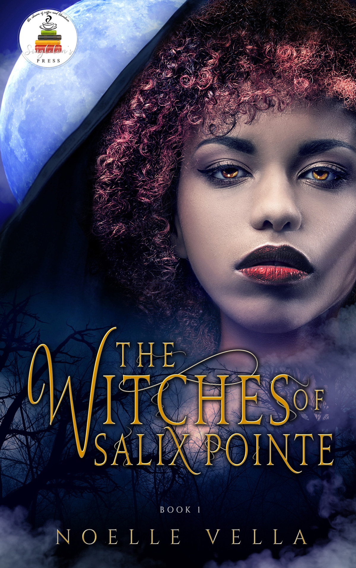 The Witches Of Salix Pointe Noelle Vella