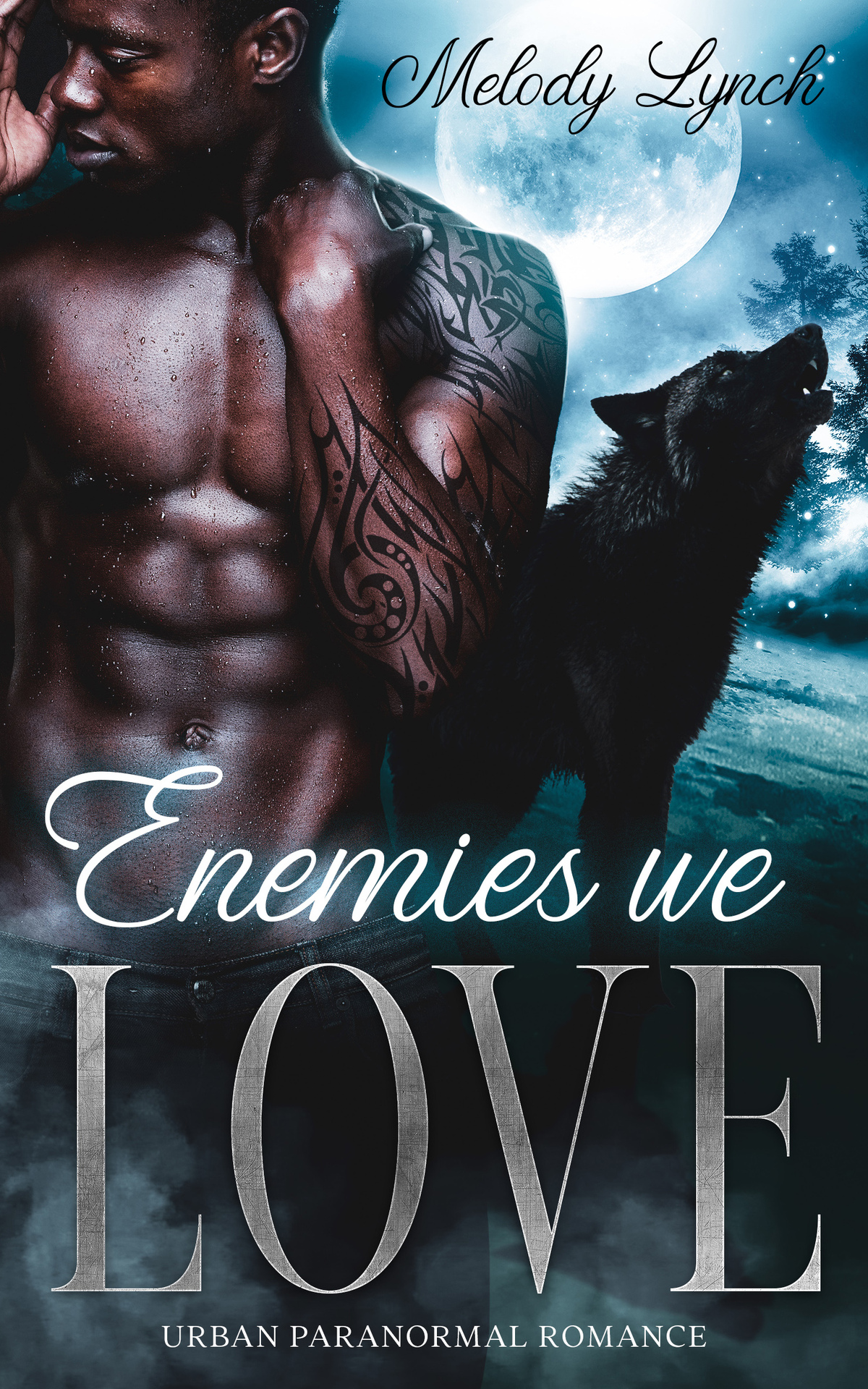 Enemies We Love Urban Paranormal Romance African American Urban Shifters Book 7 Melody Lynch